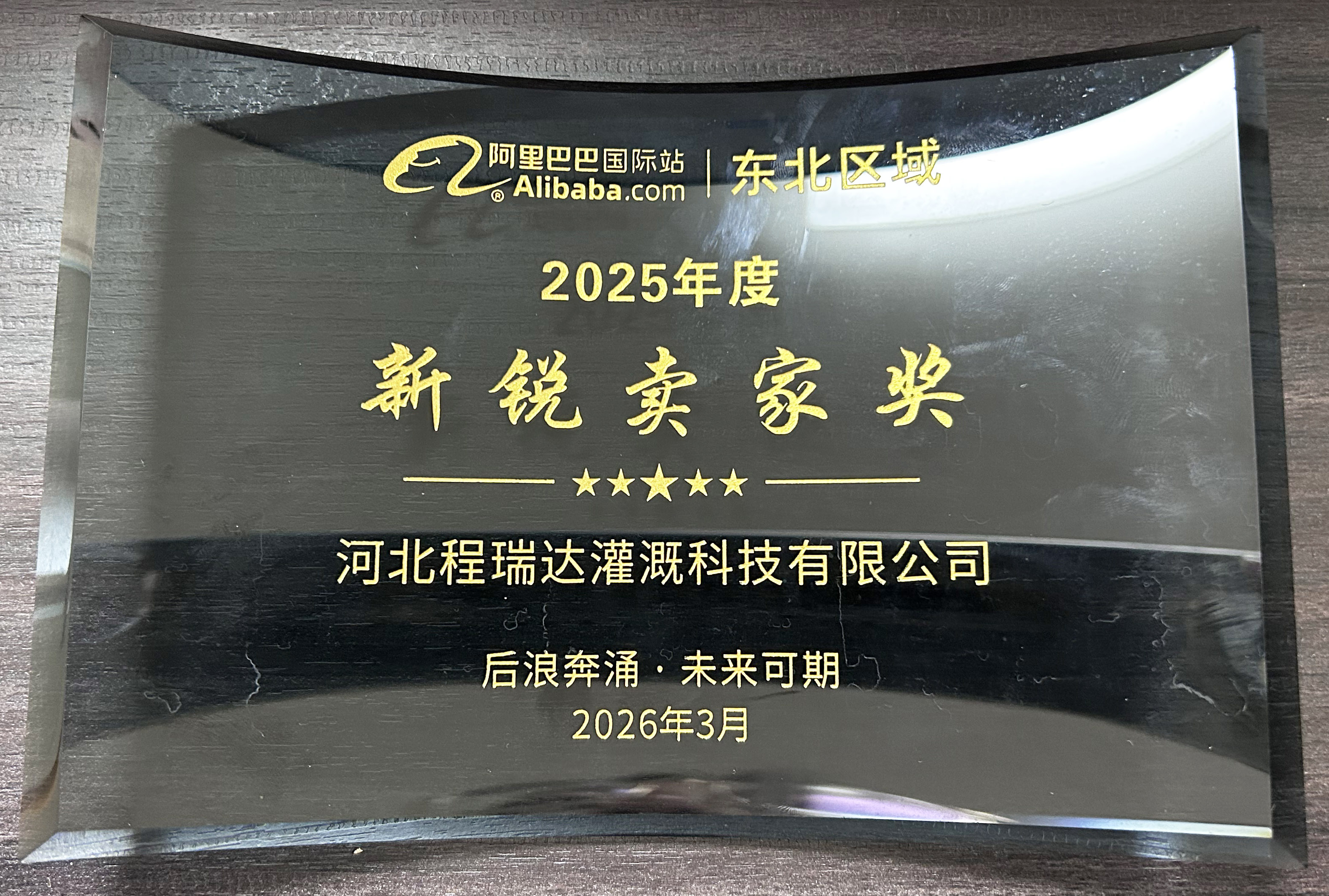 丹东程瑞达灌溉 | 荣获阿里国际站新锐卖家奖